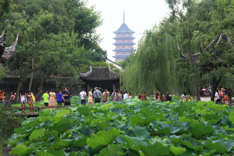 815-Hangzhou,18 luglio 2014.JPG